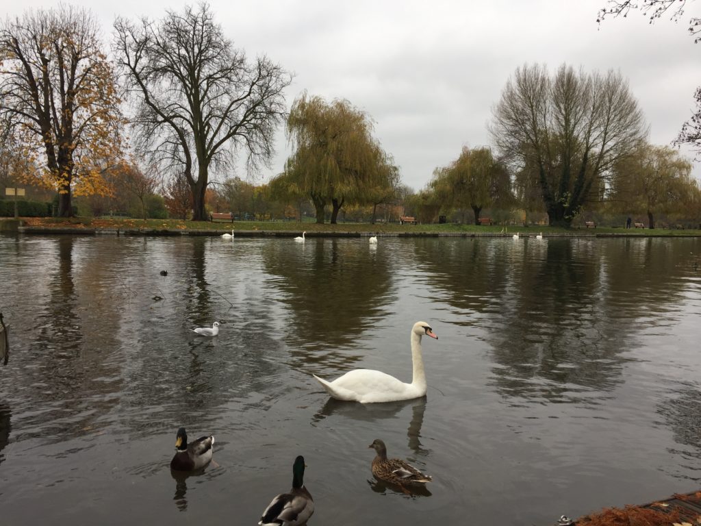 The Avon (river) upon which Stratford-upon-Avon is settled.
