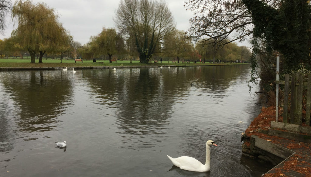 Stratford-upon-Avon 1165x665