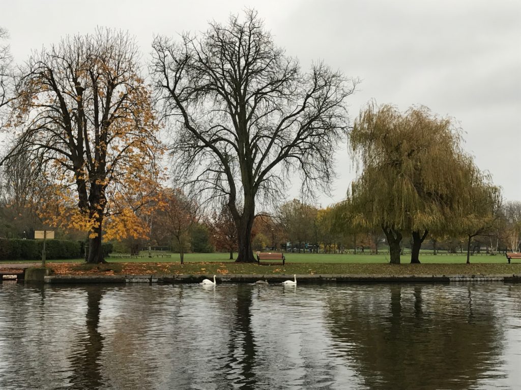 The serene Avon (river) in Stratford-upon-Avon