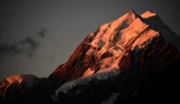 NZ Gallery 1165x665