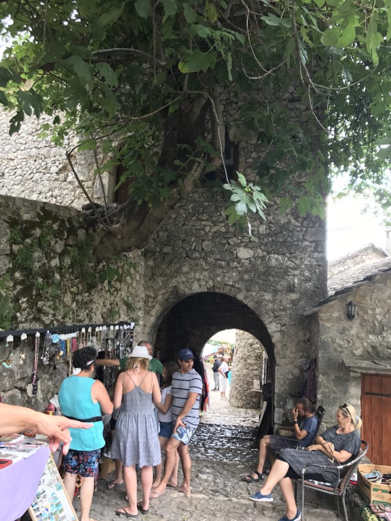 All over the Balkans, people were happy to see us Indians. This little village was no exception. These friendly vendors, sitting under fig trees, even tried to talk in Hindi.