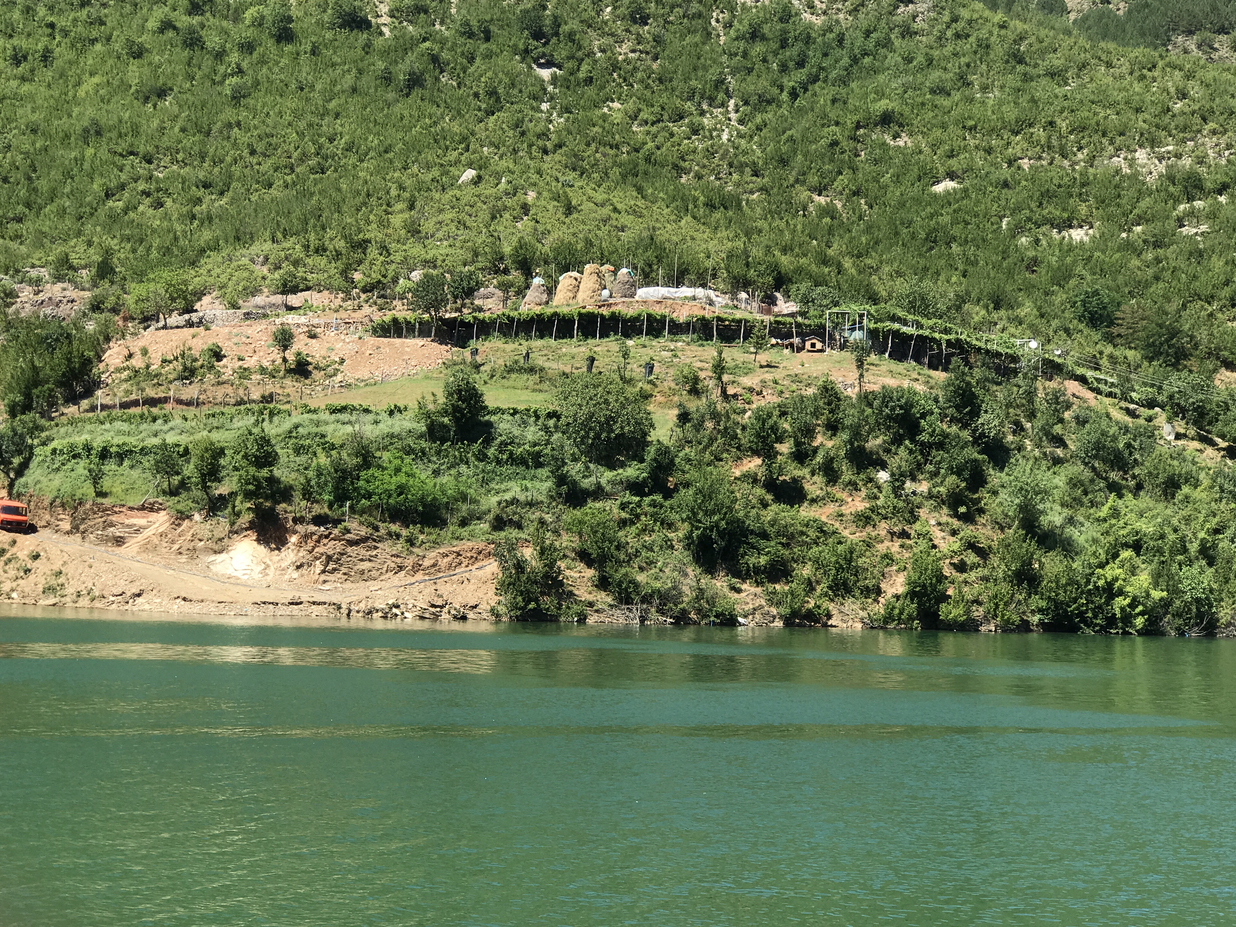 One of the larger farms by the lake. 