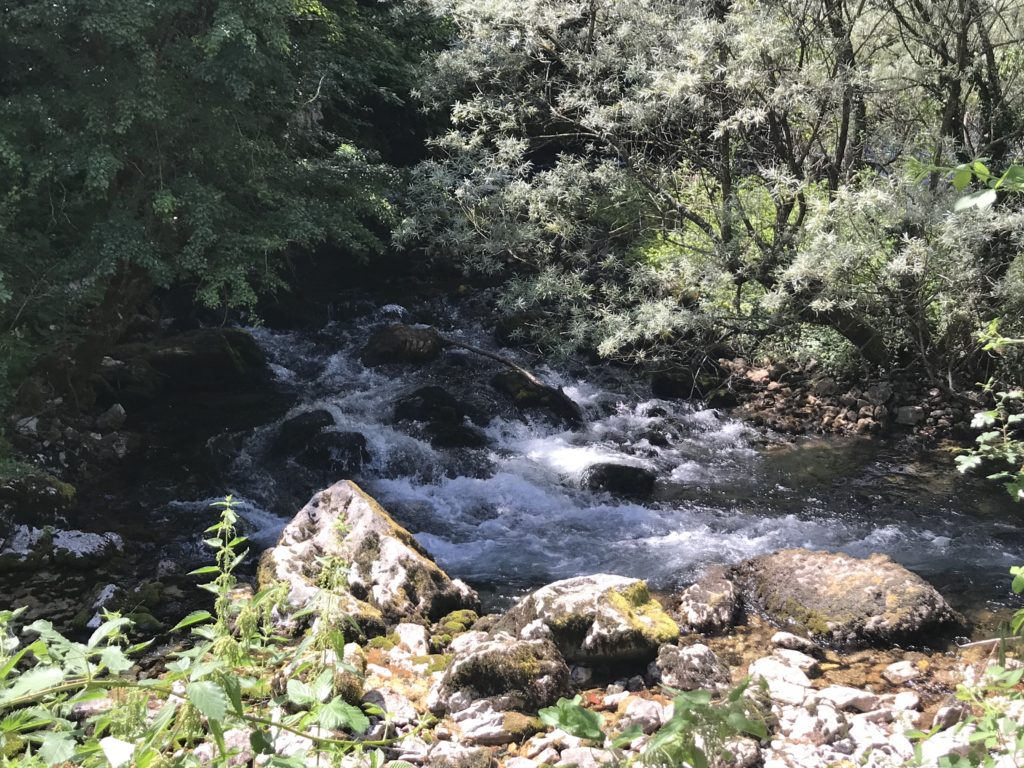 Source of the Black Drini river