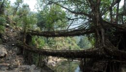 Northeast India