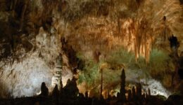 White Sands and Carlsbad Cavern National Parks