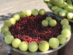 Mouthwateringly sour and fresh gooseberries, sweet berries and crunchy cucumbers for hiking in Sinhagad fort.