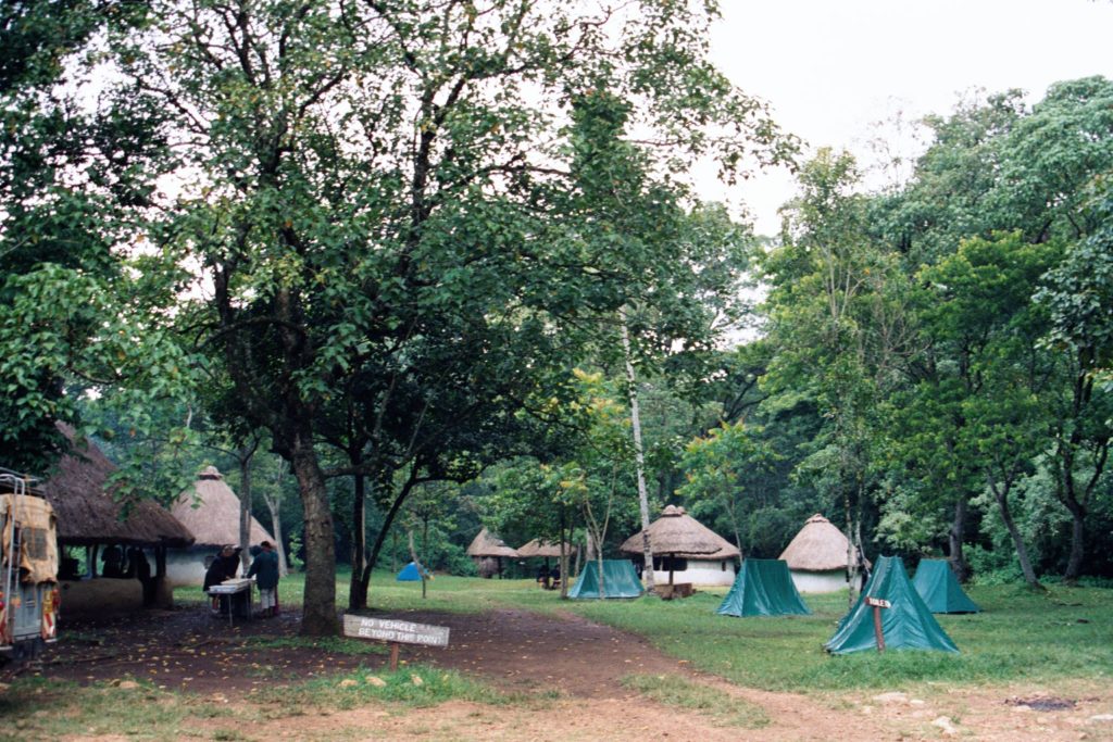 Campsites in Kakamega forest in Kenya.