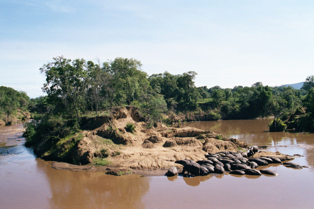 Breakfast with the Hippos in Masai Mara, Kenya