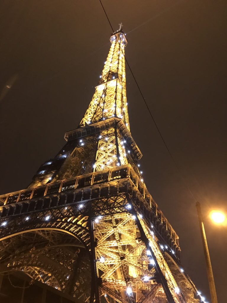 The Eiffel Tower in Paris