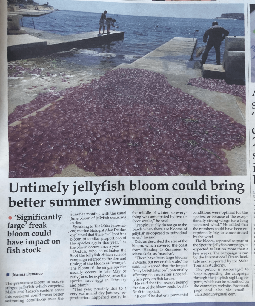 Swarms of jellyfish fill Malta's coastline that week.