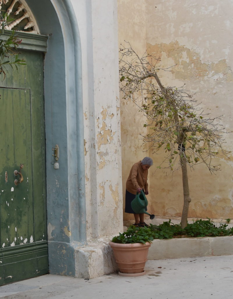 Mdina native caring for her neighborhood.