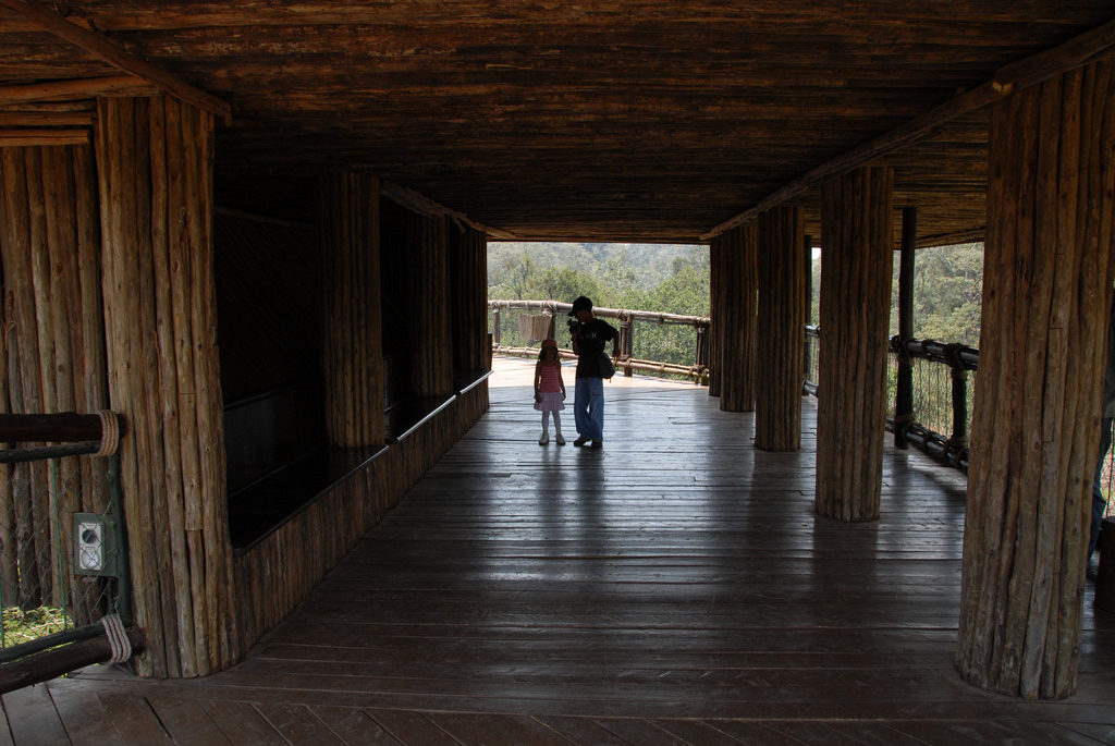 Walkways in Nairobi National Park