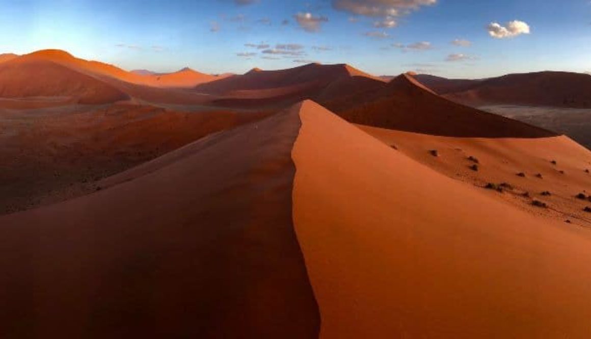 Namib desert