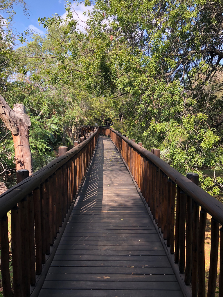 Another reason Protea hotel is one of the best places to stay by Kruger national park is the beautiful walkways through the trees. It's common to see wildlife beneath the walkways.