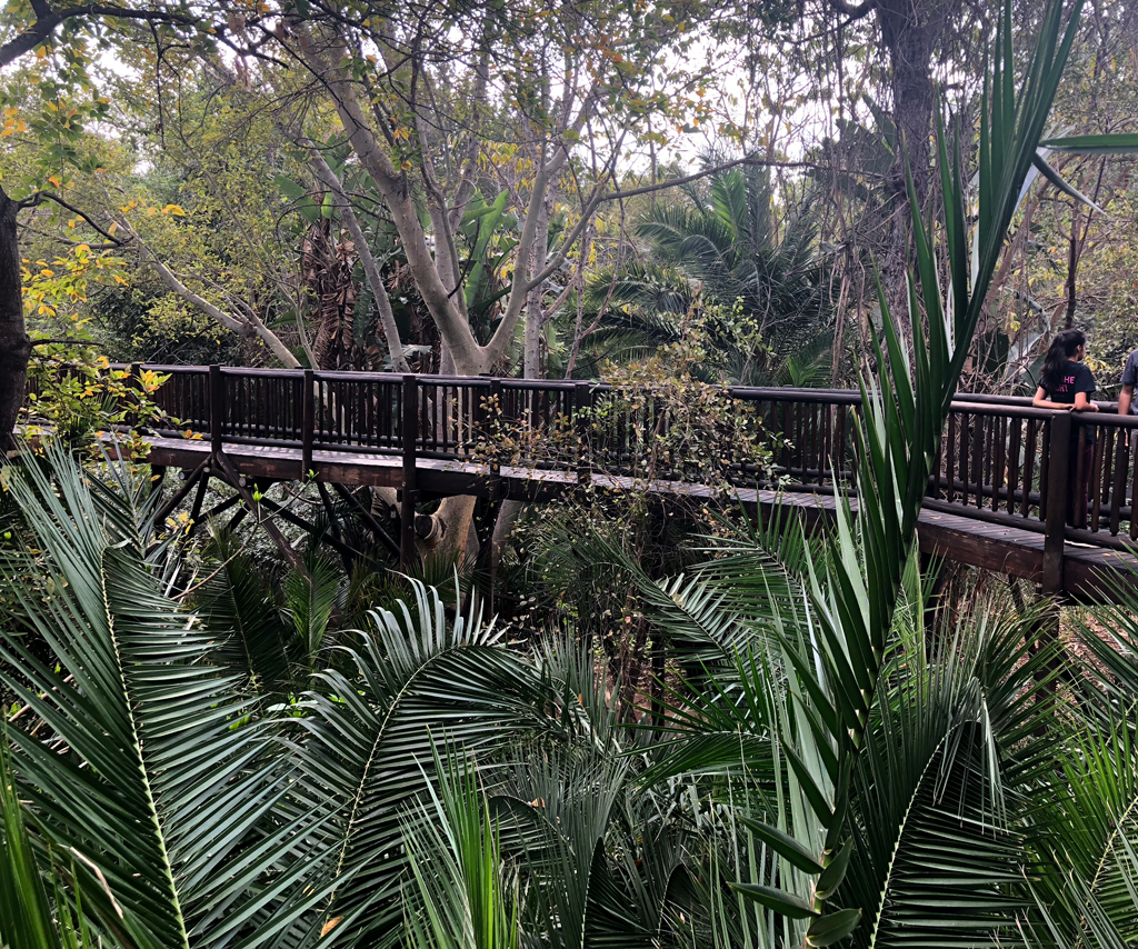 A shortcut from the room to the breakfast/lunch area in Protea hotel by Marriott. 