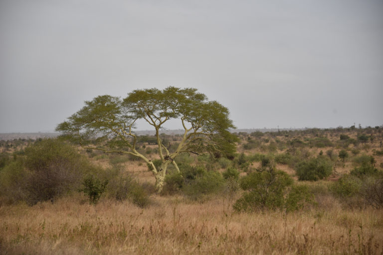 Southern Africa in 14 Days - Namibia, Botswana, Zambia, Zimbabwe, and ...