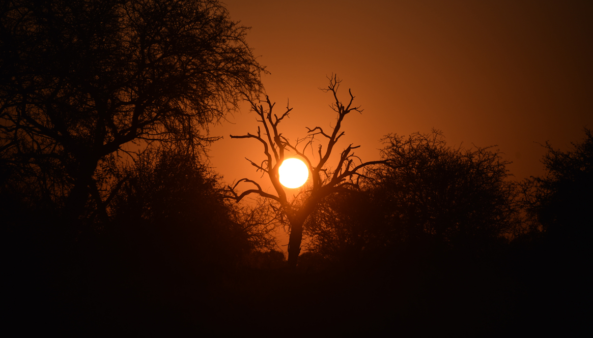 NKB_6037 sunset