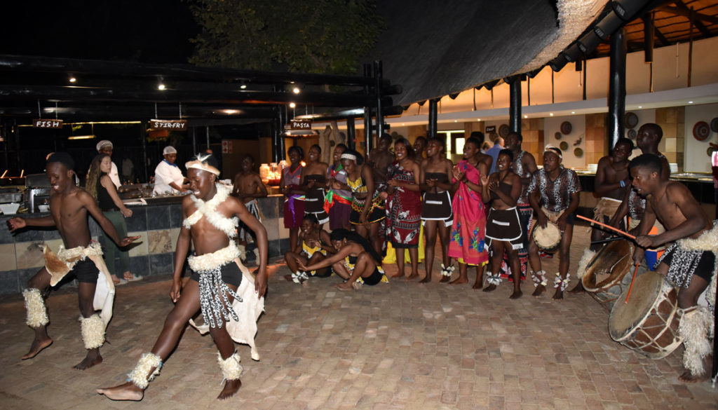 NKB_6104-Protea-Kruger-dance-1165x665