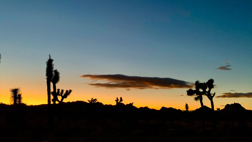 Heading out of Joshua Tree NP at Sunset on Christmas.