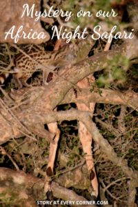 Pinterest pin for mystery on our African night safari