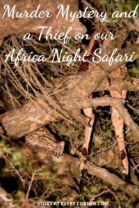 Pinterest pin about a murder mystery and a thief on our African night safari