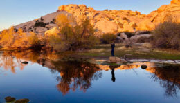Joshua-Tree-National-Park-Barker-Dam