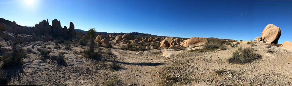 The area around the Joshua Tree Arch.