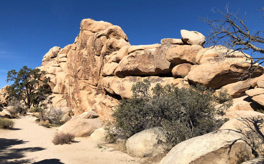 Looks like lying Buddha with a tree near his head and bushes by his feet, in Hidden Valley.