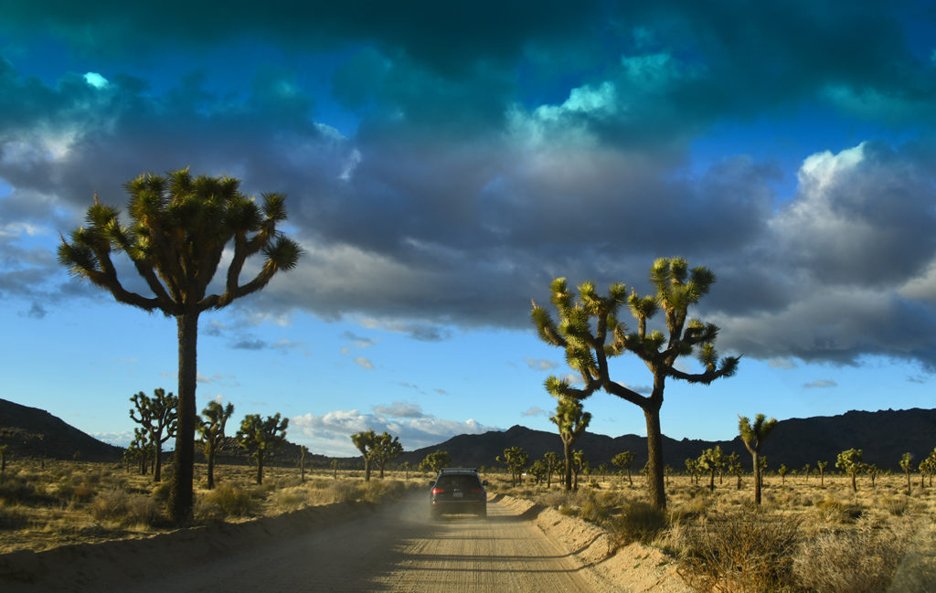 Big Horn Pass, a scenic dirt road to Barker Dam in Joshua Tree national Park.