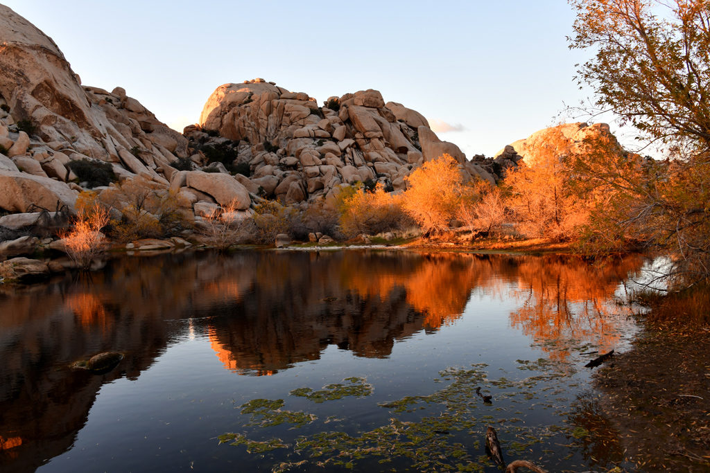 Sunset at Barker Dam in Joshua Tree National Park.