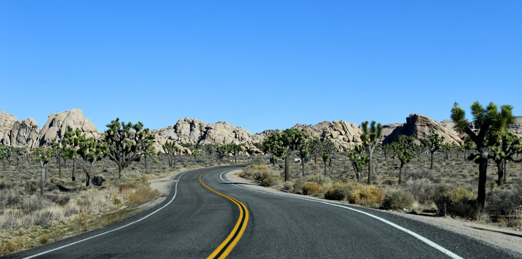 A typical drive in Joshua Tree National Park