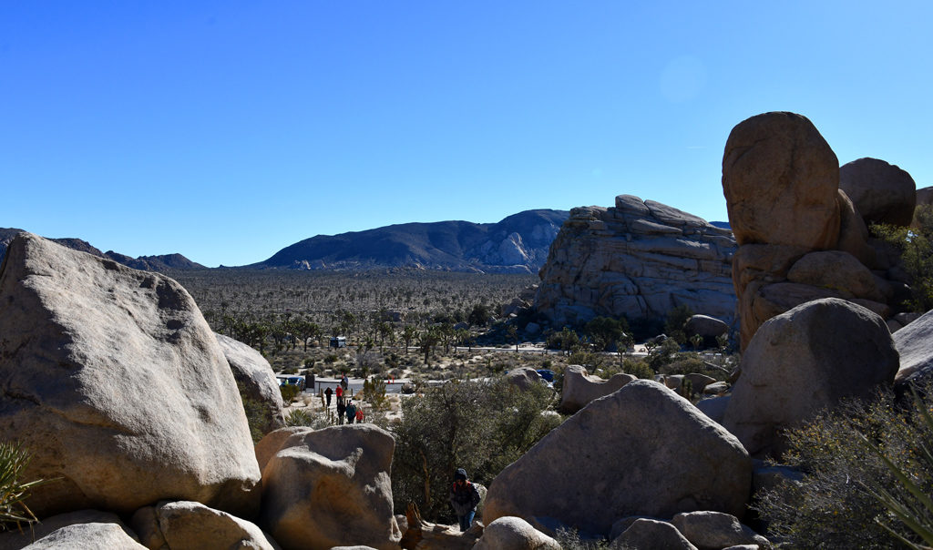 An entrance was opened through the rocks to create an Joshua Tree NP's Hidden Valley.