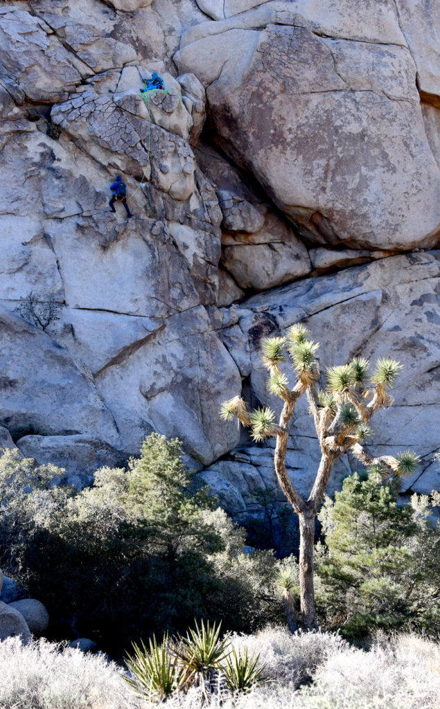 Rock climbers take to the granite boulders in Hidden Valley of Joshua Tree NP