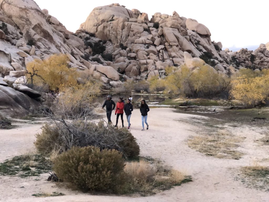 A happy bunch walking back after fun times at the Barker Dam in Joshua Tree NP.