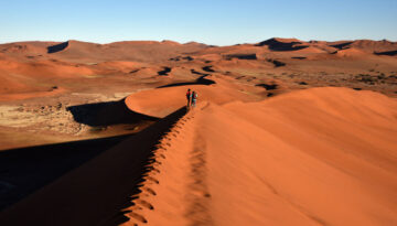 Namibia-Namib-Naukluft National Park Big Daddy Dune