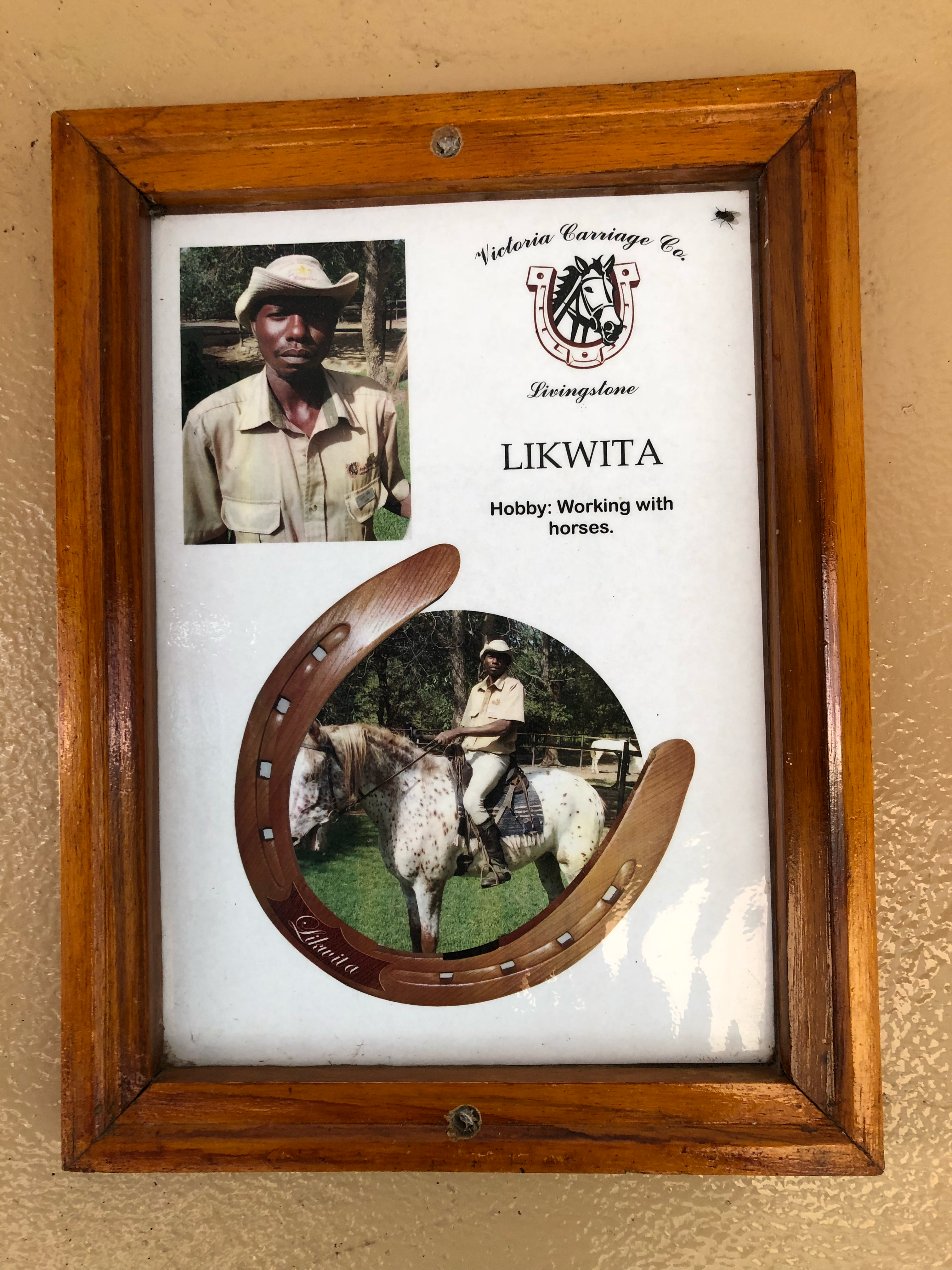 Horse trainer profiles adorn the stable walls in Victoria Falls Horse Safari Stables in Zambia