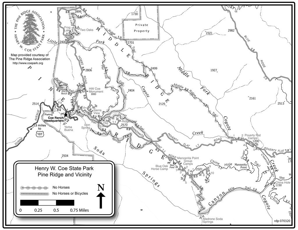 Map of Henry Coe State Park Trails - Pine Ridge area. Courtesy of Henry Coe Park