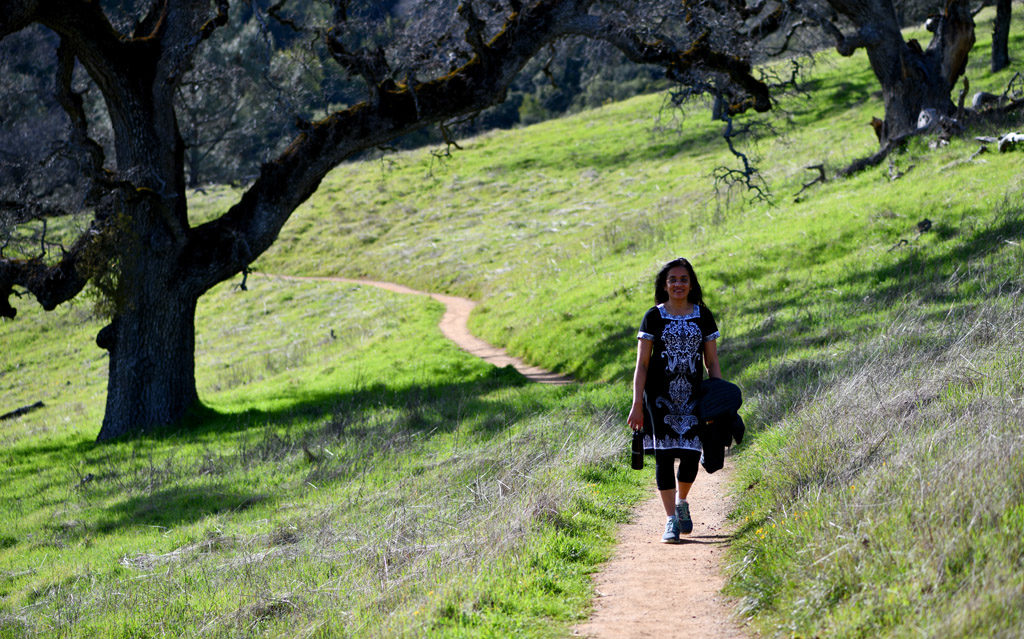 Hikes in Henry Coe State Park's Spring trail are relatively flat, with open meadows, pine and oak trees.