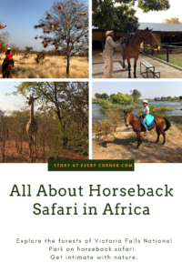 Pin - Horseback safari in Africa