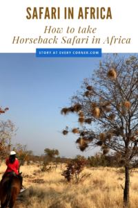 Pin - Horseback safari in Africa