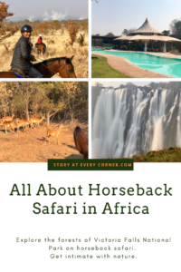 Pin - Horseback safari in Africa