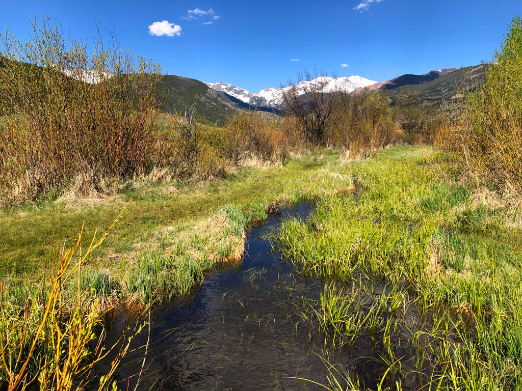 Moraine Park, filled with streams to support RMNP's wildlife and vegetation.