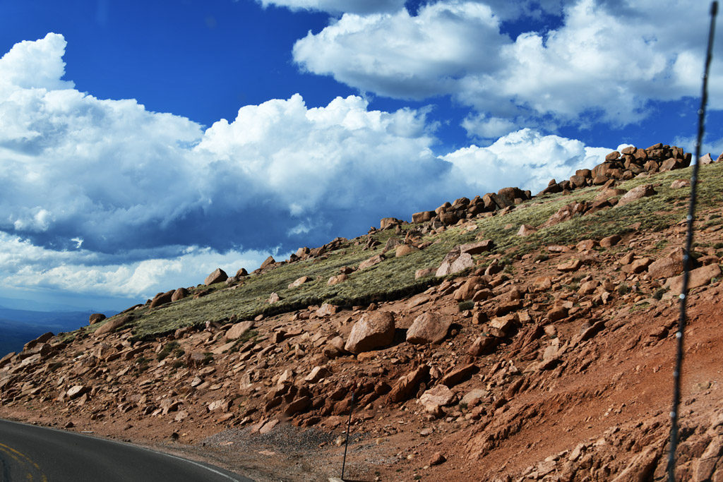 Alpine carpet in Pikes Peak is delicious food for mountain sheep and goats