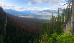 IMG_0182-Jasper-hidden-hike-view-1165x665