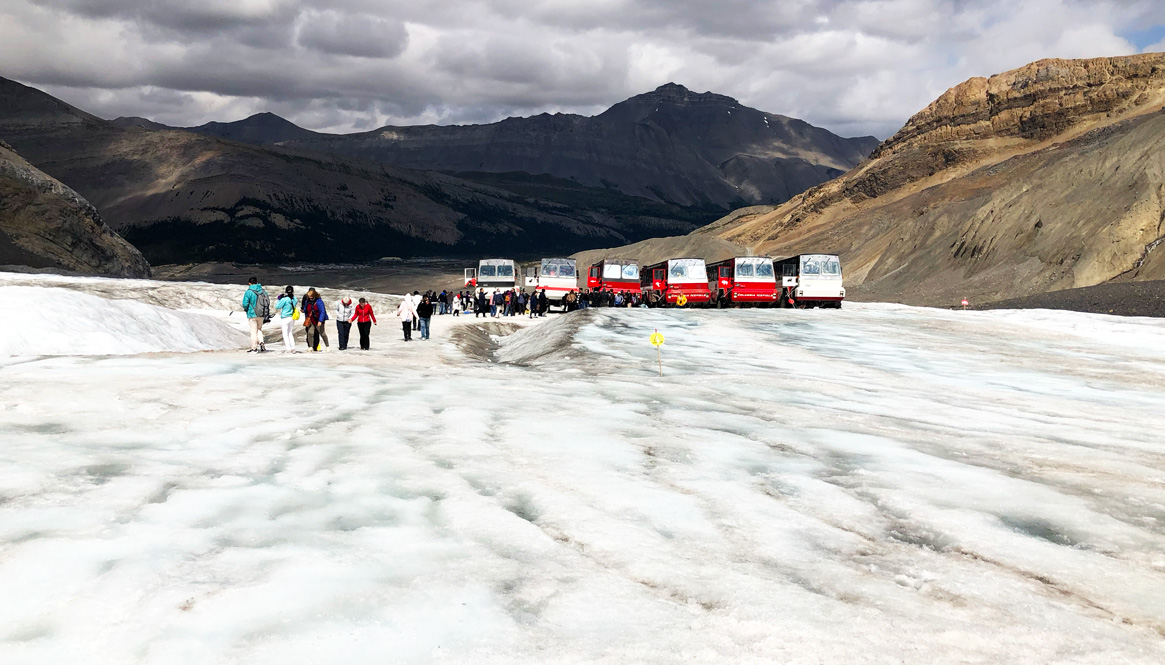 Top Activities on the World-Famous Icefields Parkway, Canada