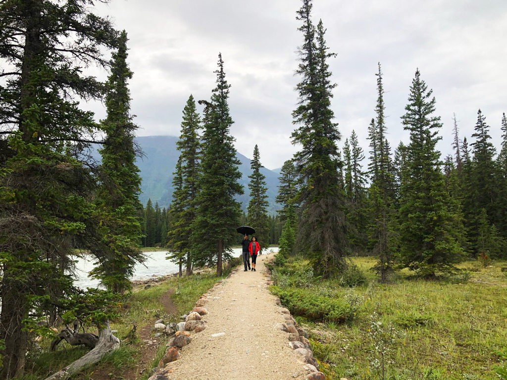 A walk along Athabasca river in Jasper National Park, on our first day of touring the Canadian Rockies