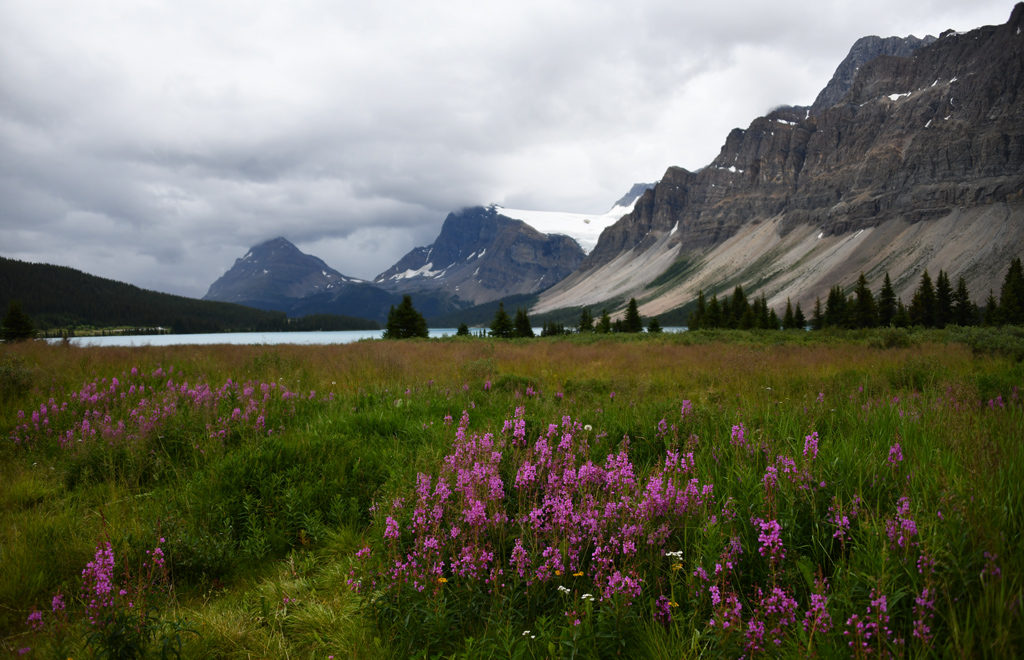 A viewpoint on Banff to Jasper drive at Bow Lake on the first day of our Canadian Rockies itinerary