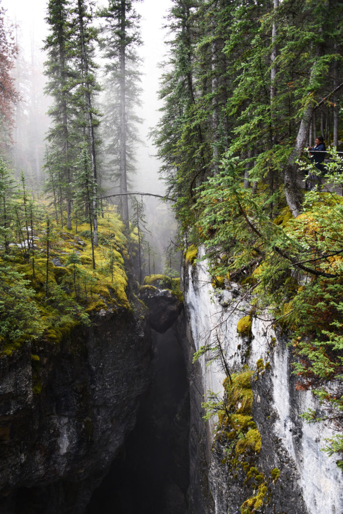 Maligne Canyon has beautiful hikes and fascinating geological formations for the nerds in us. Its a highlight when touring Canadian Rockies.