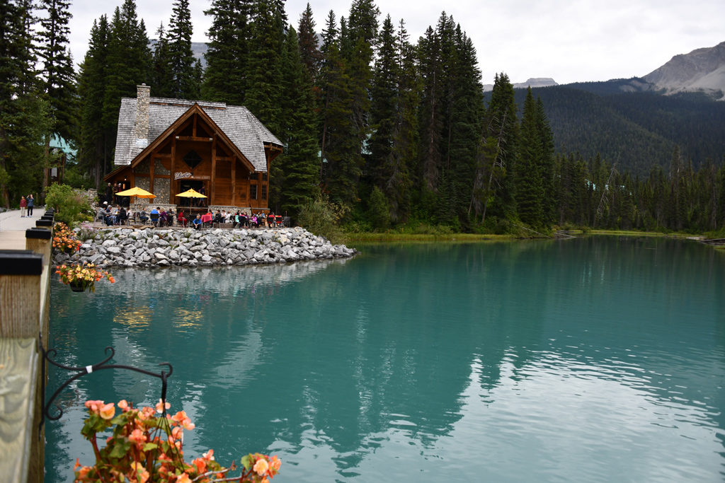 The cafe at Emerald Lake Lodge made delicious food for us despite few vegan food choices.