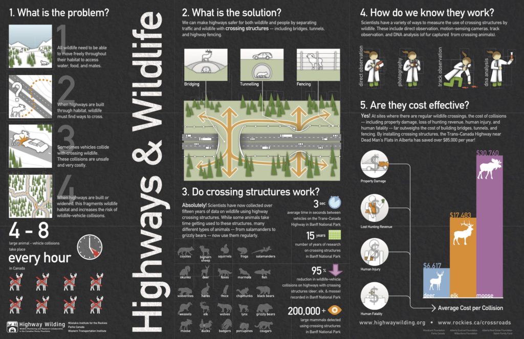 Infographic summarizing Highways & Wildlife. From Highway Wilding website.